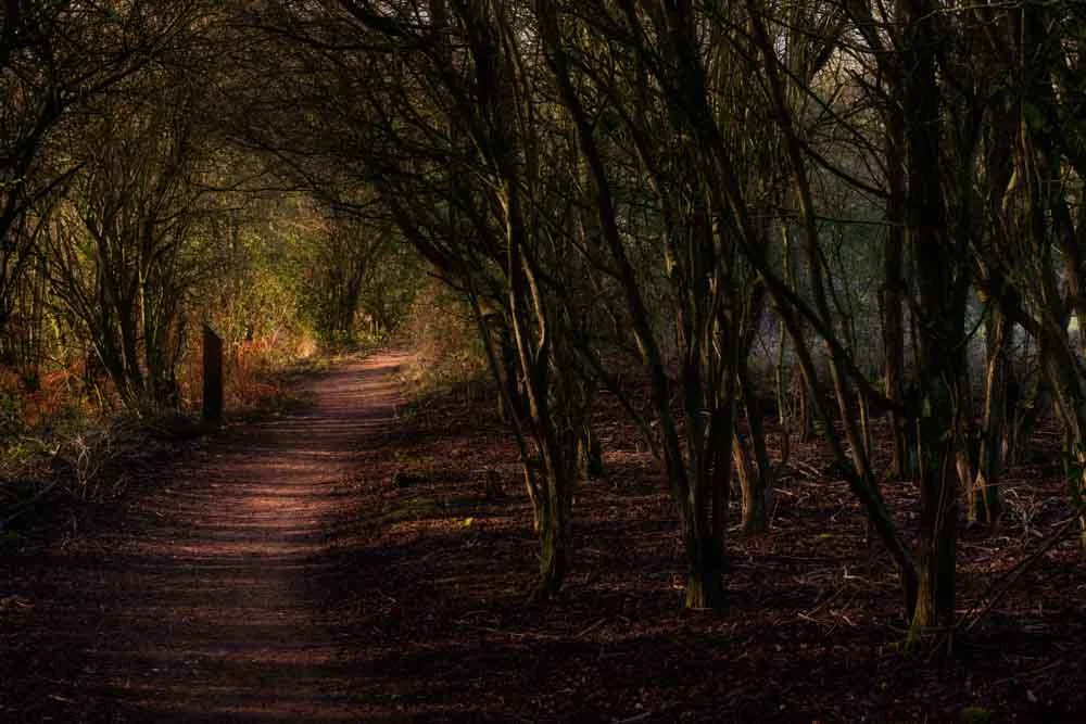 Photography Lessons for beginners to learn and practice