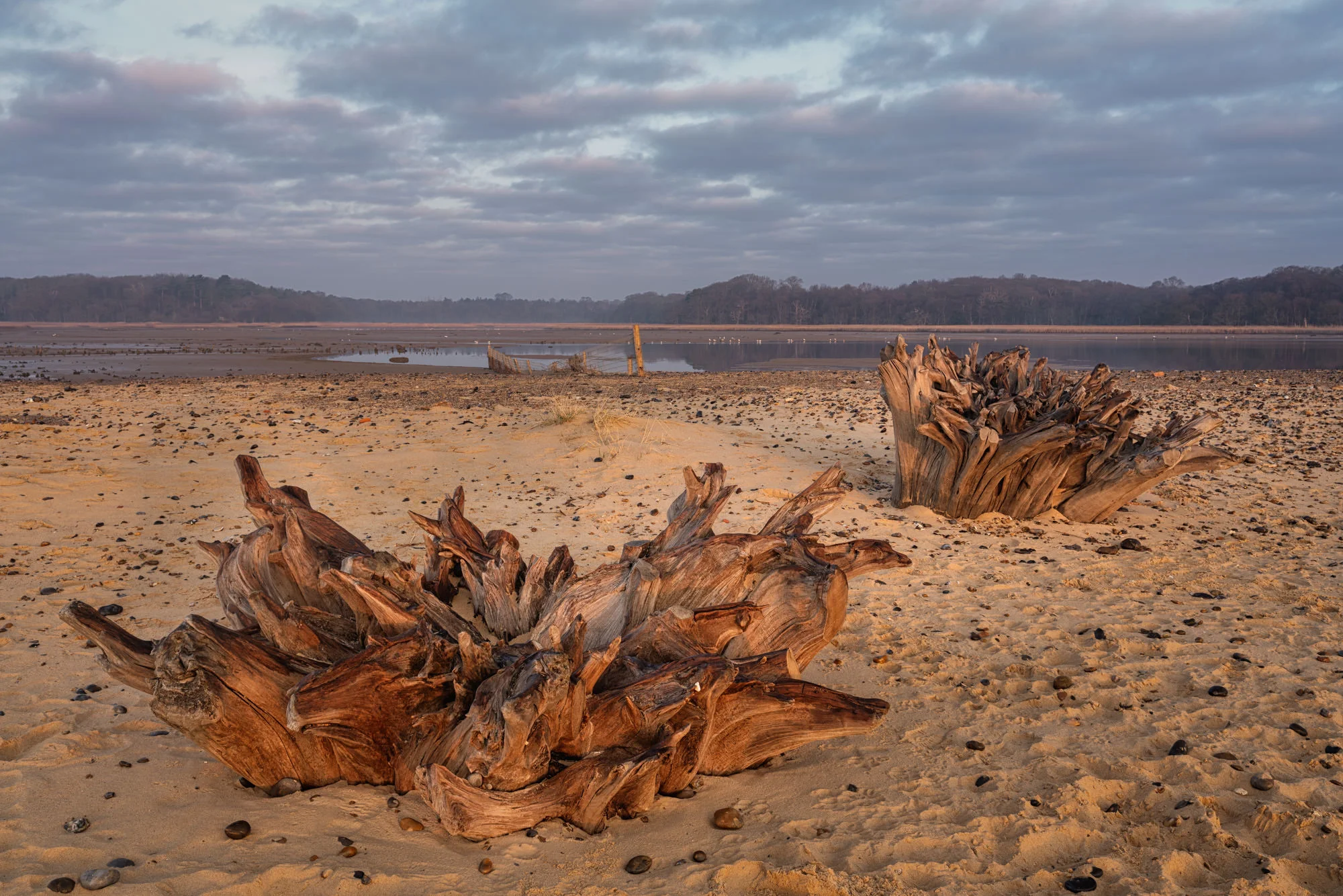 Beach Cemetery 3