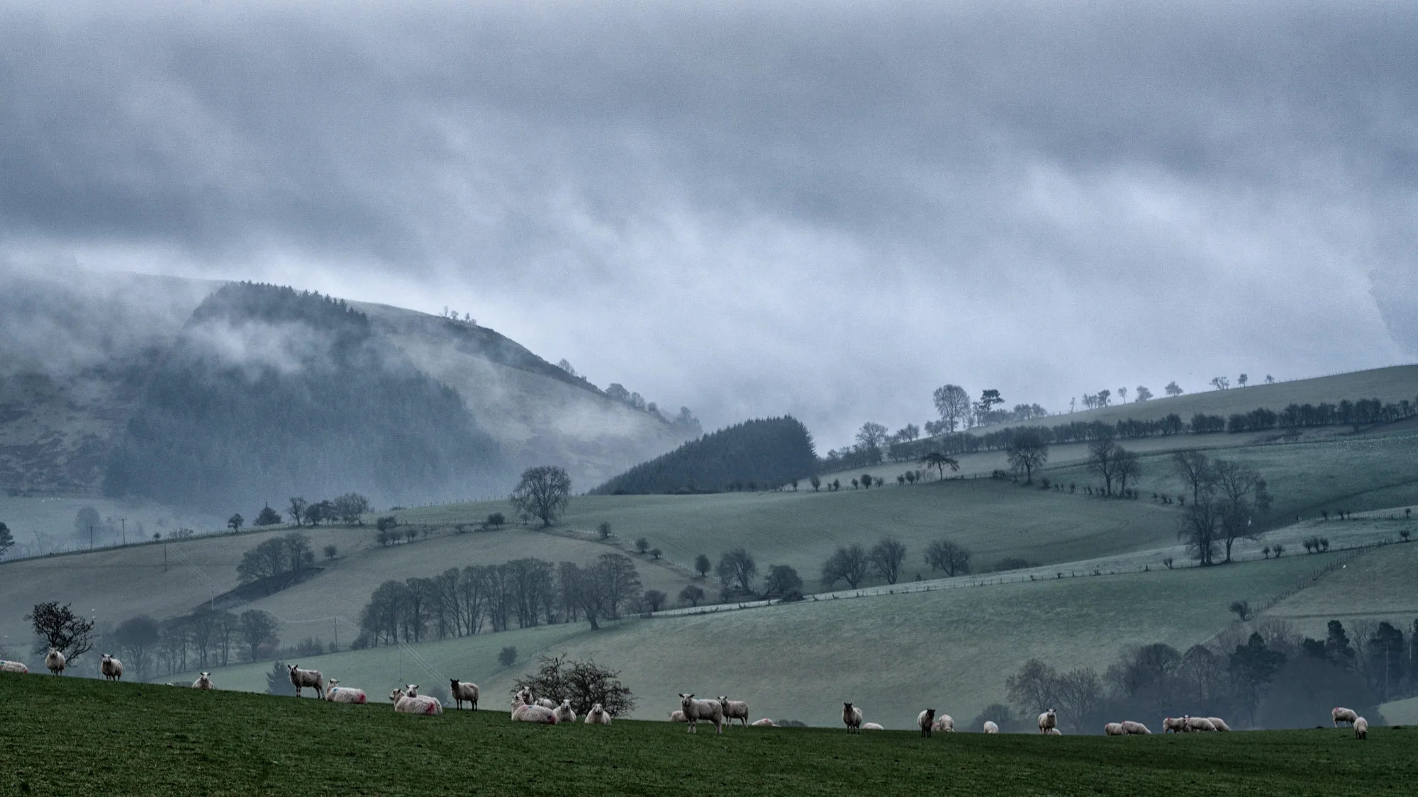 Llantysilio low cloud