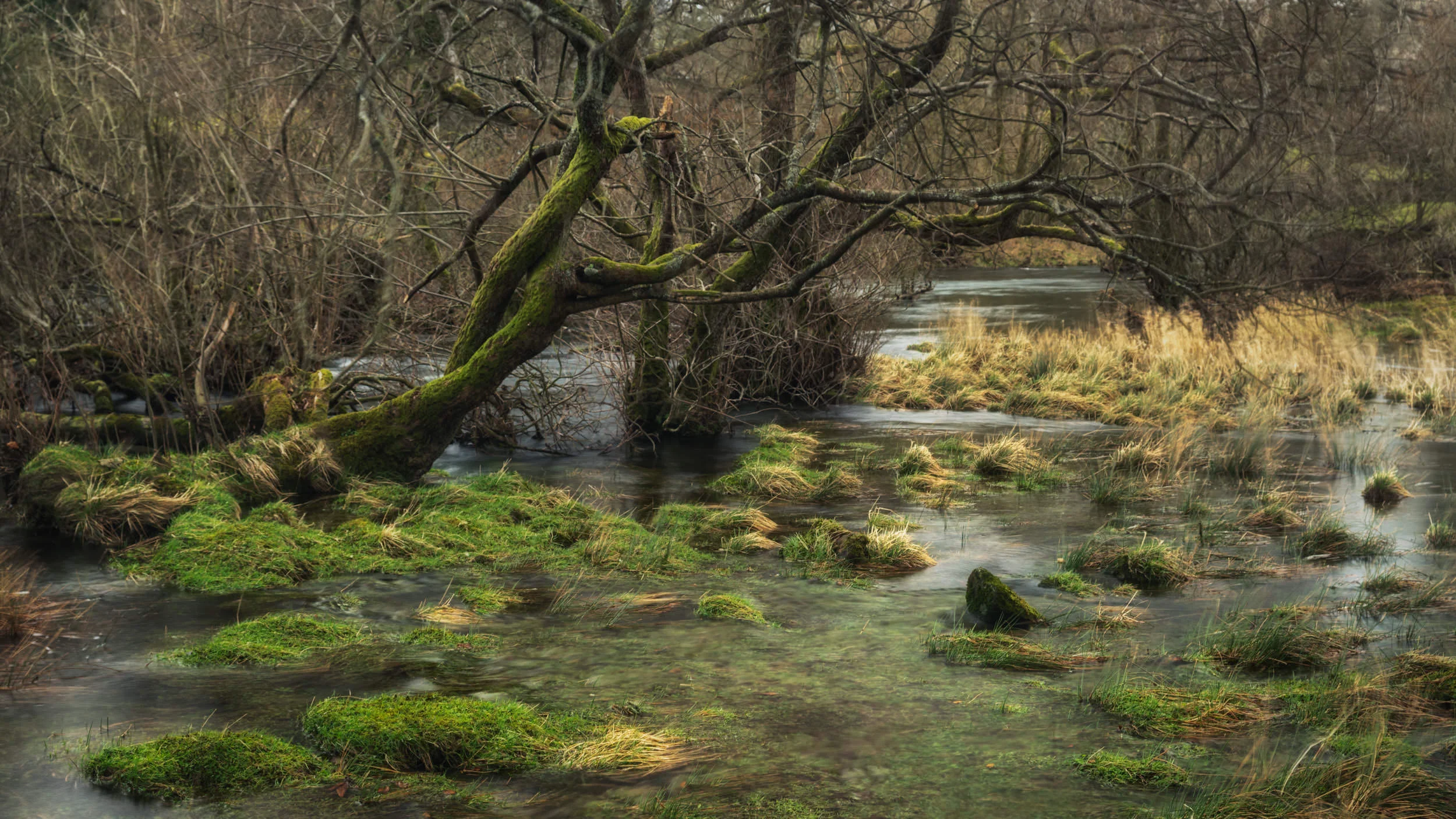 Rydal waterlogged 2