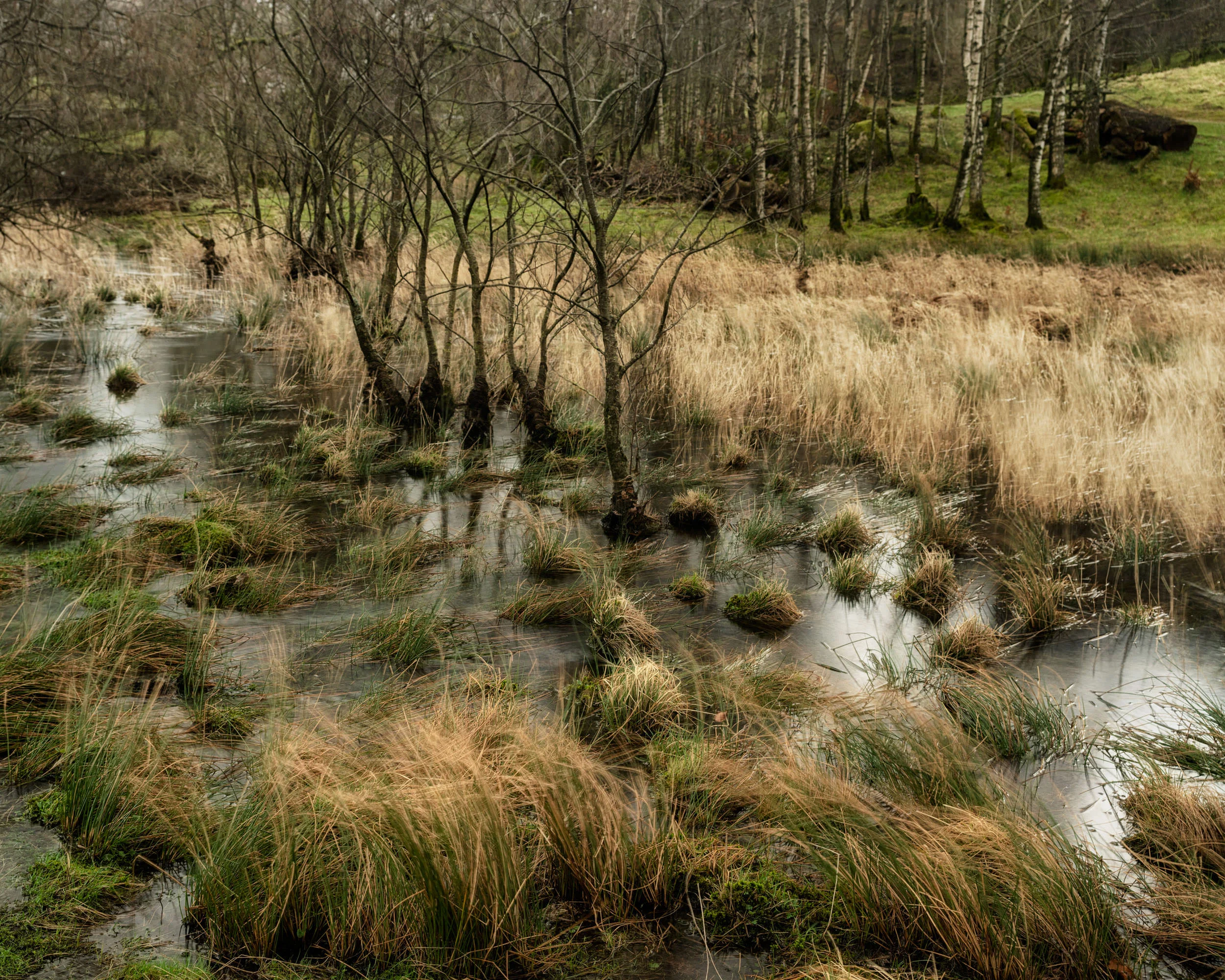 Rydal waterlogged