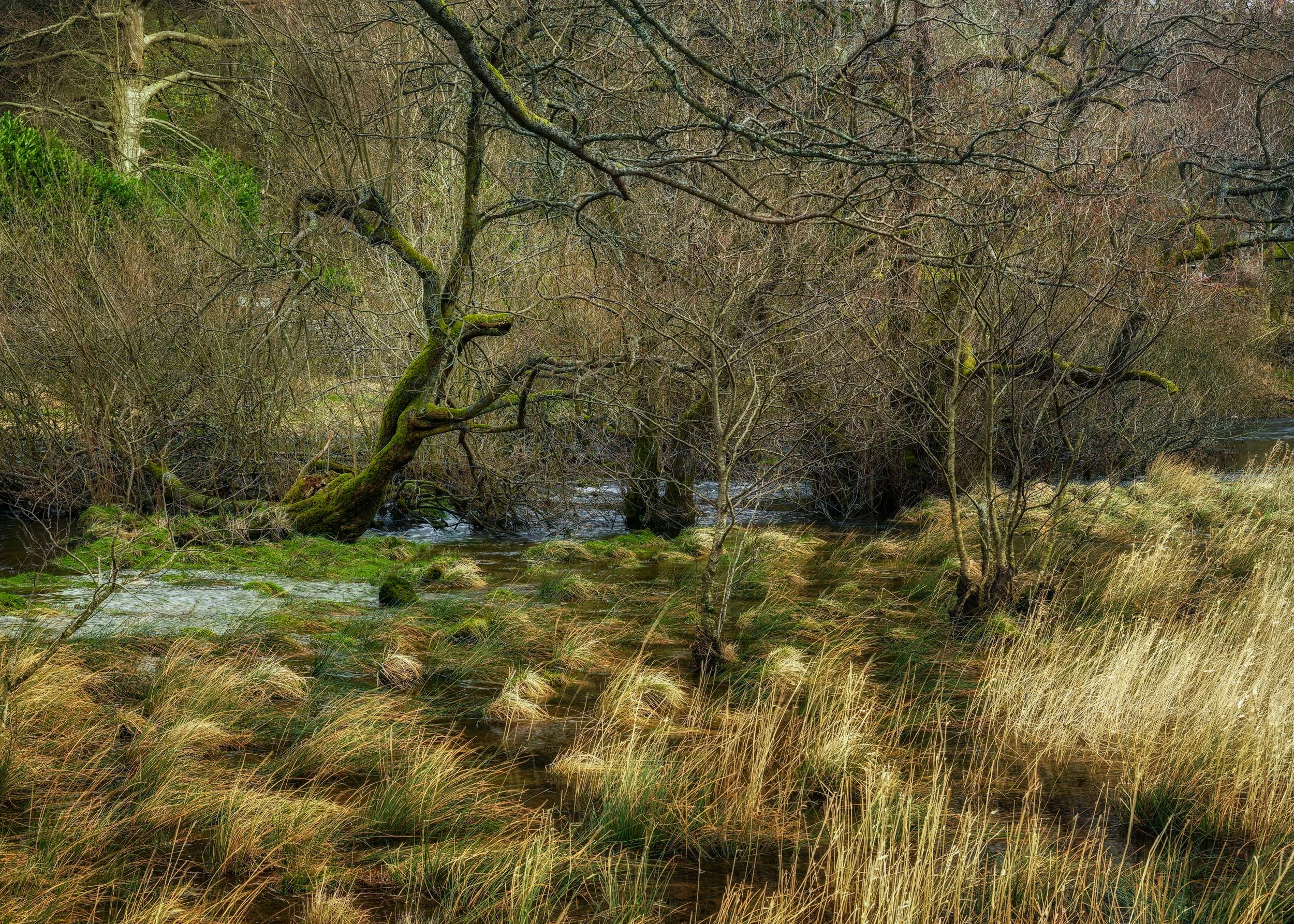 Rydal waterlogged