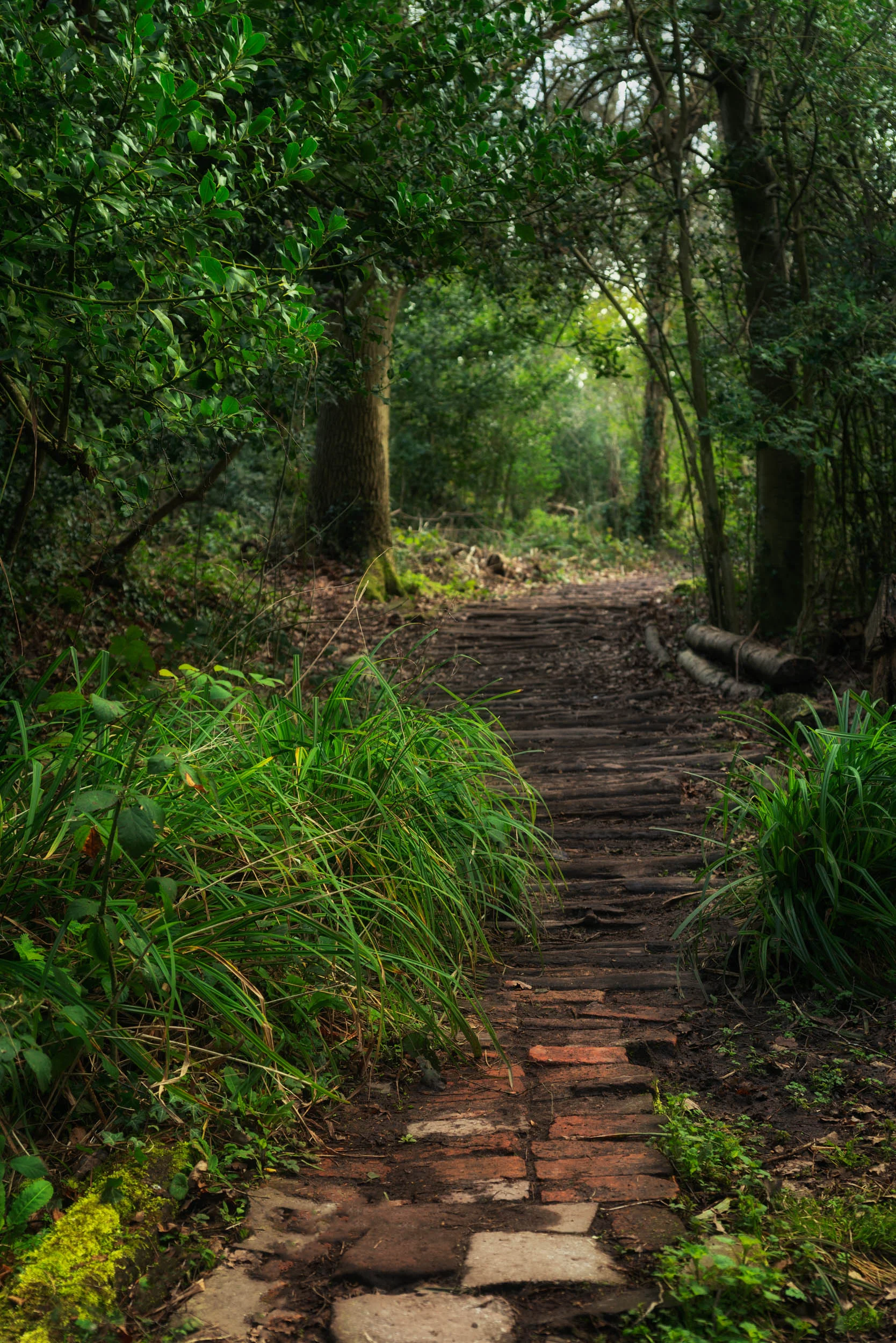 pathway 3