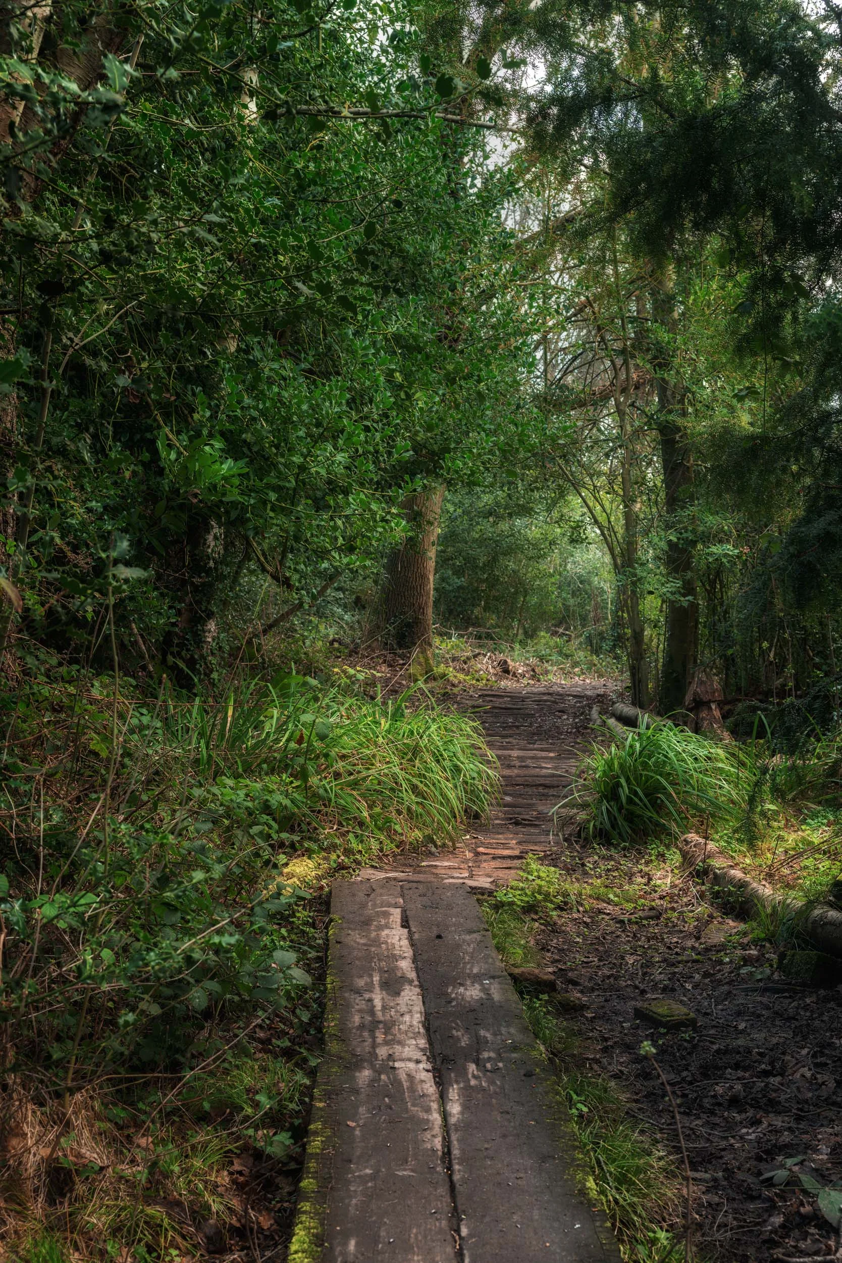 pathway 2