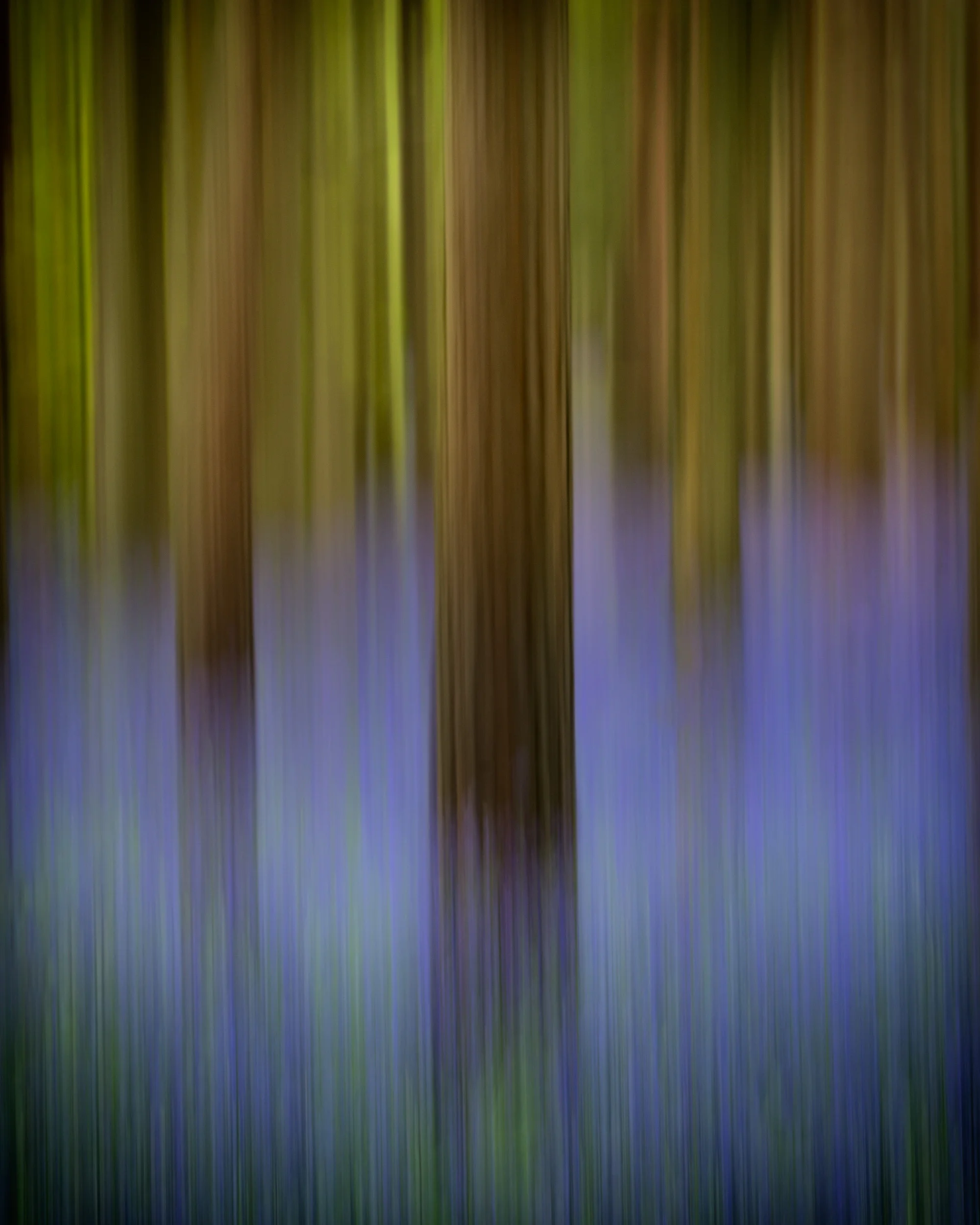 Vertical Pan 1/8 @ F10 5:4 aspect ratio