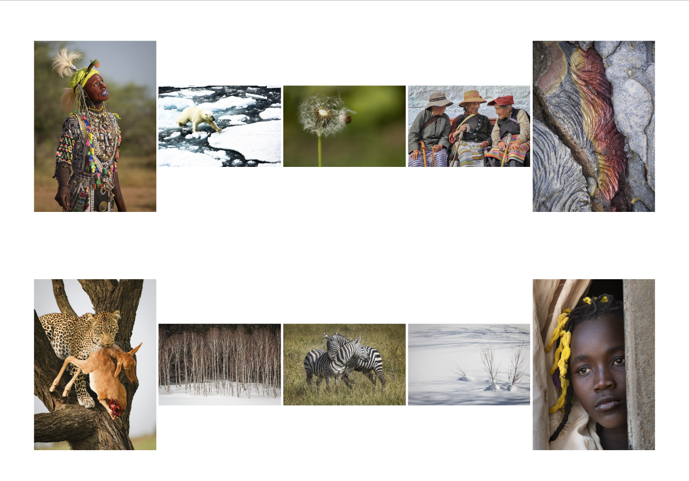 test print with multiple images on one pape