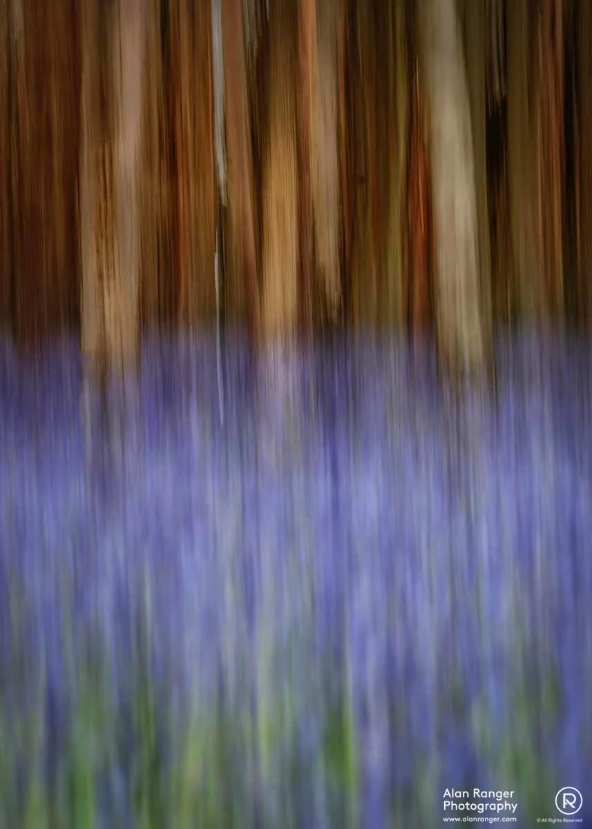 blue trio