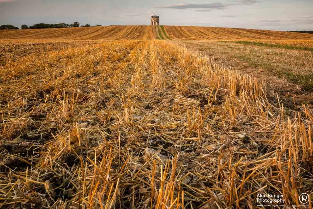 chesterton stubble