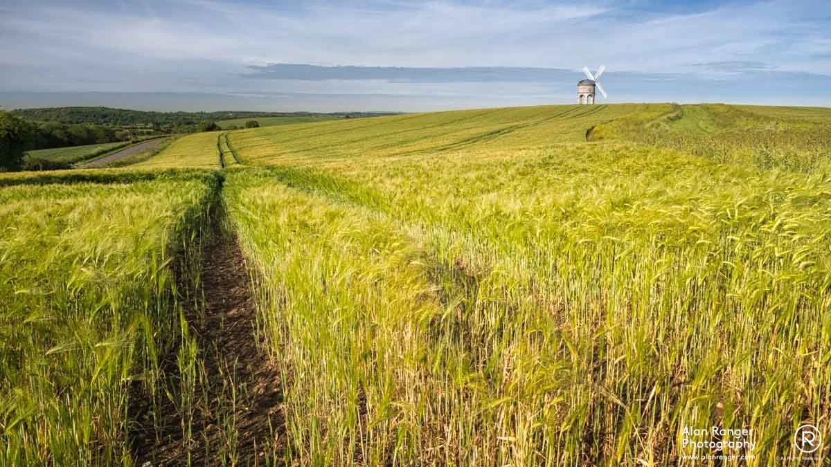 chesterton barley
