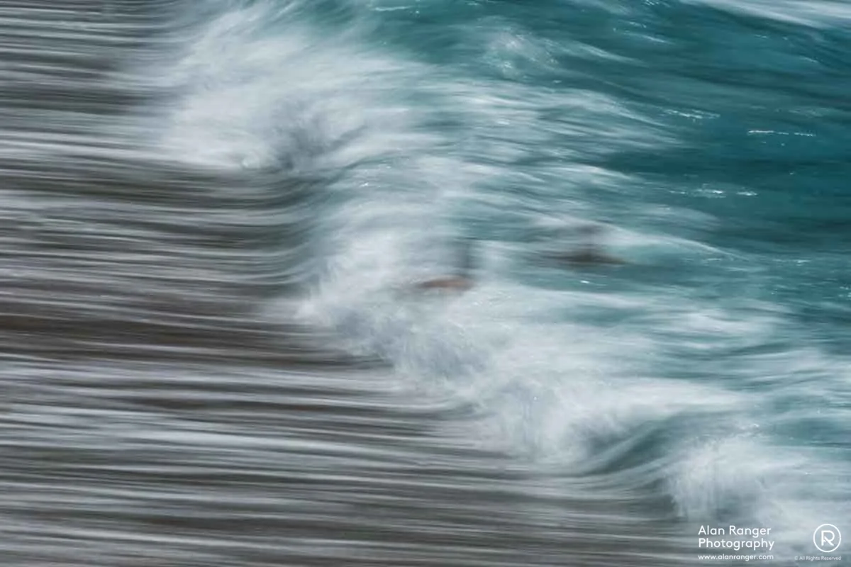 surf