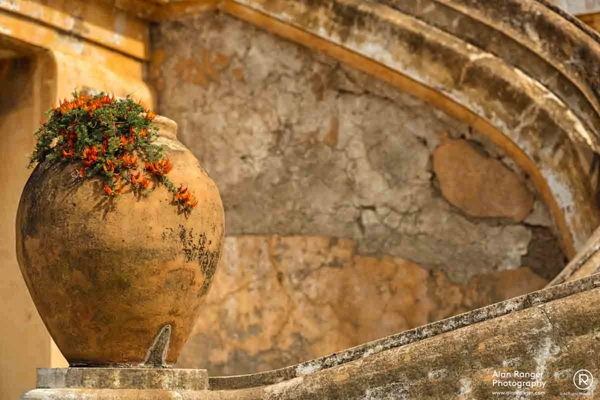 terracotta sweep