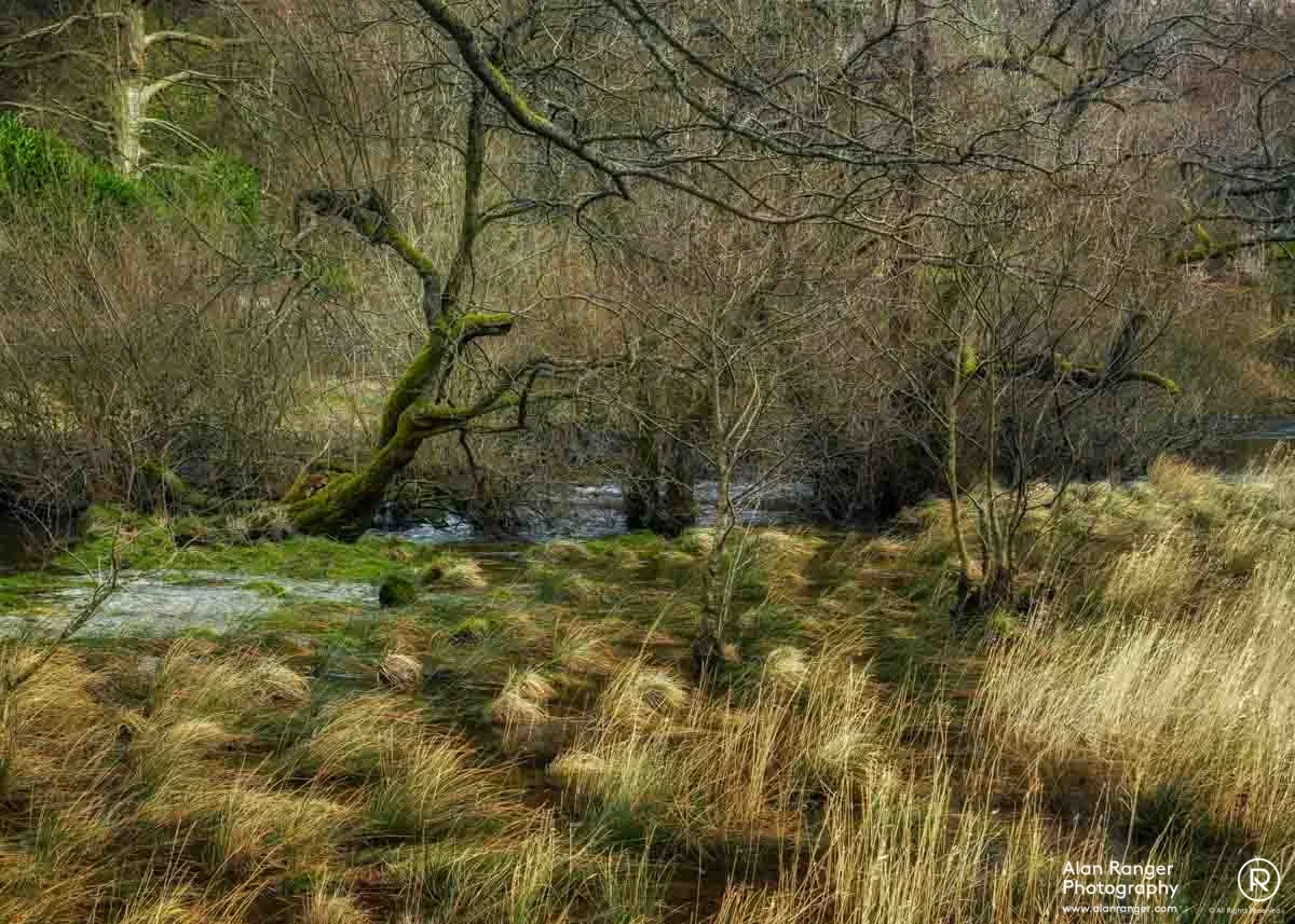 Rydal waterlogged