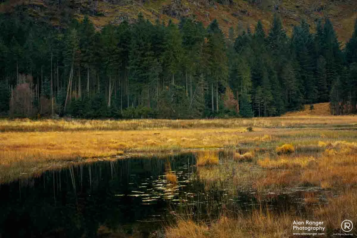 Harrop Tarn