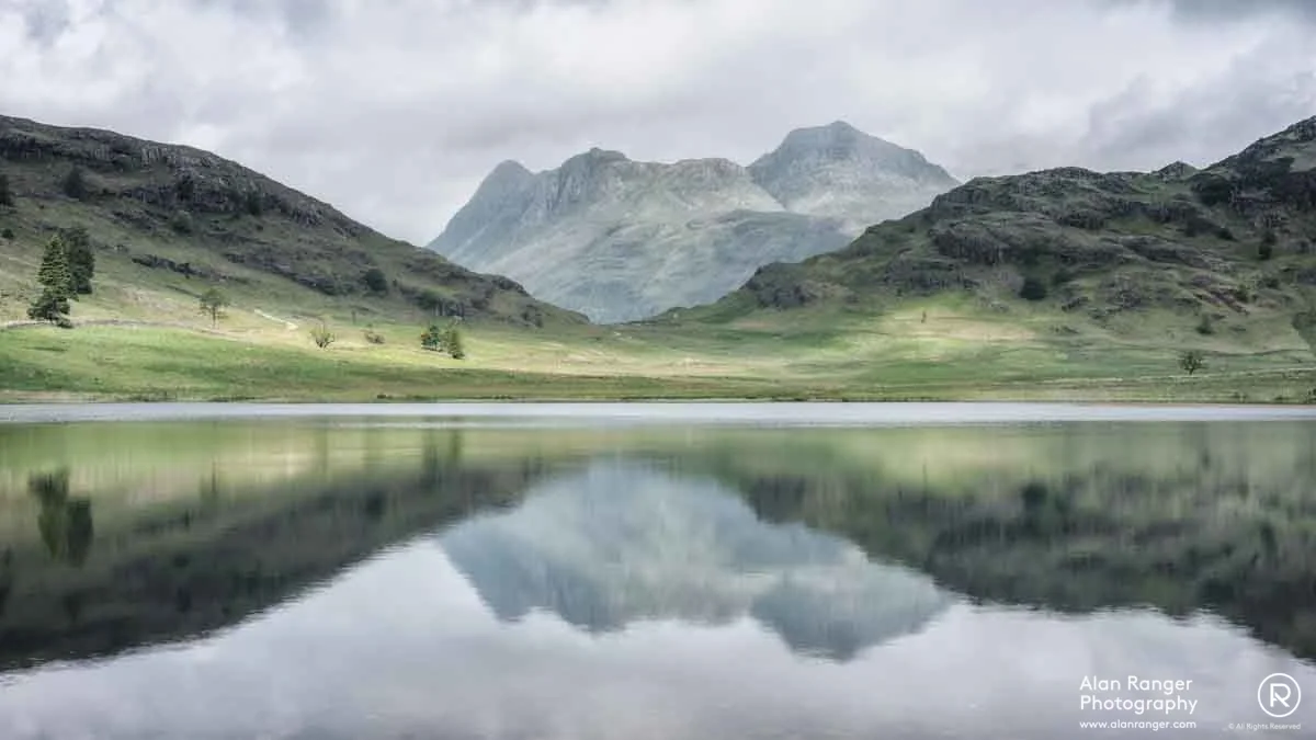blea mirror
