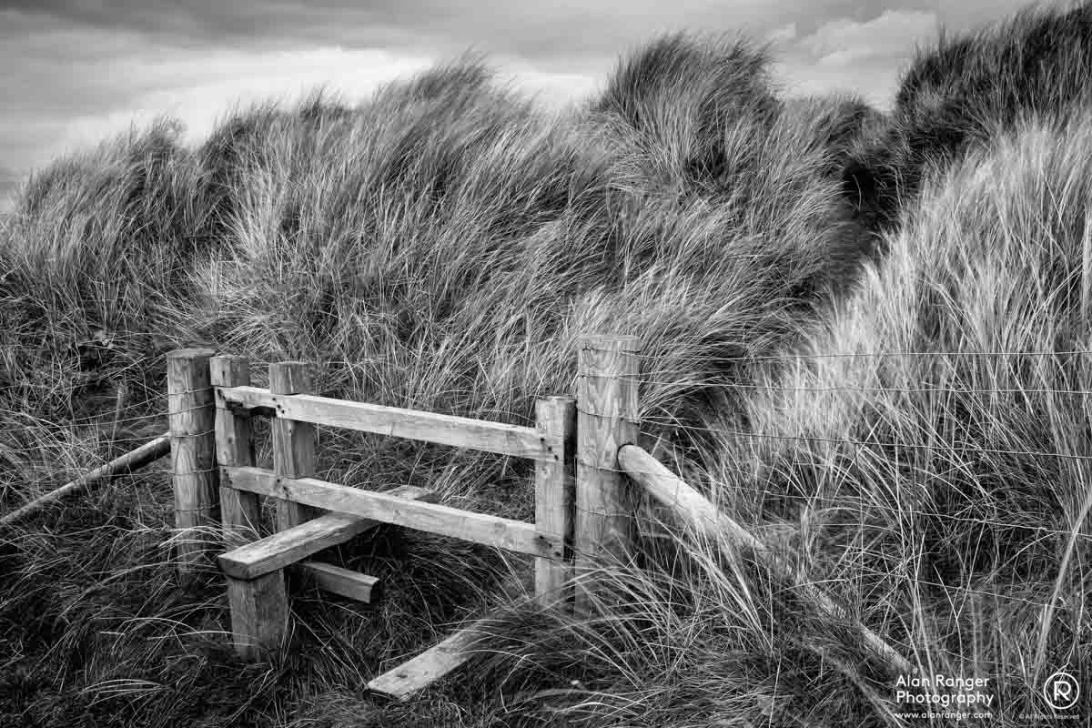 path to beyond