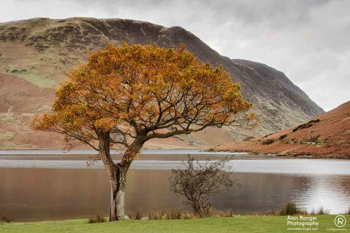crummock glow