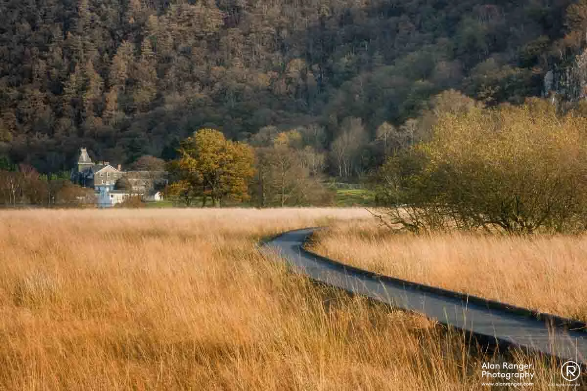 sunlit track
