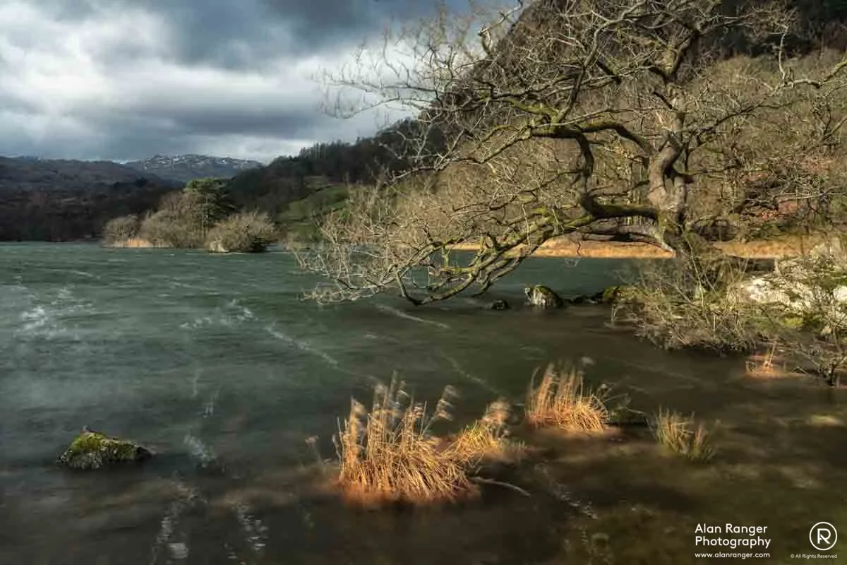 rydal blustery