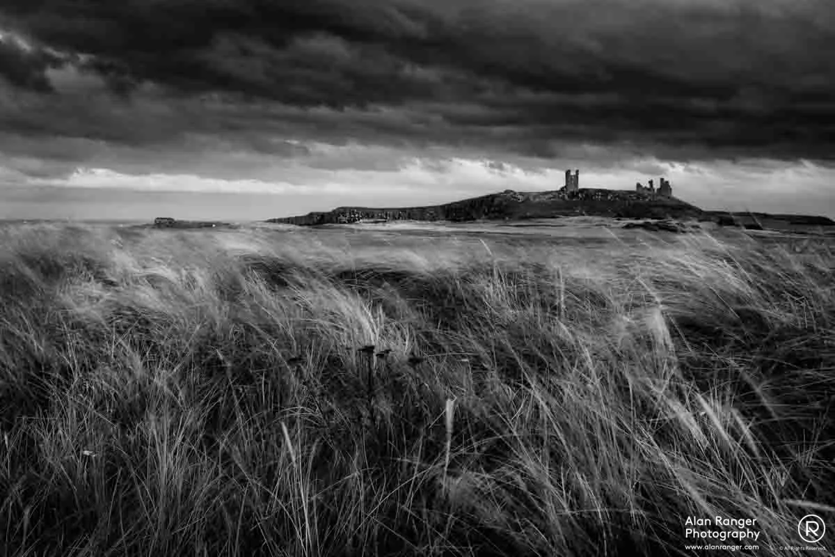 dunstanburgh grasses B&W