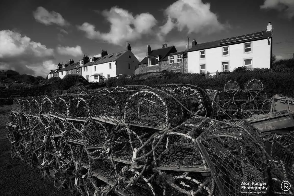 Craster Whites