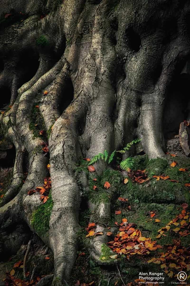 ghost trunk II