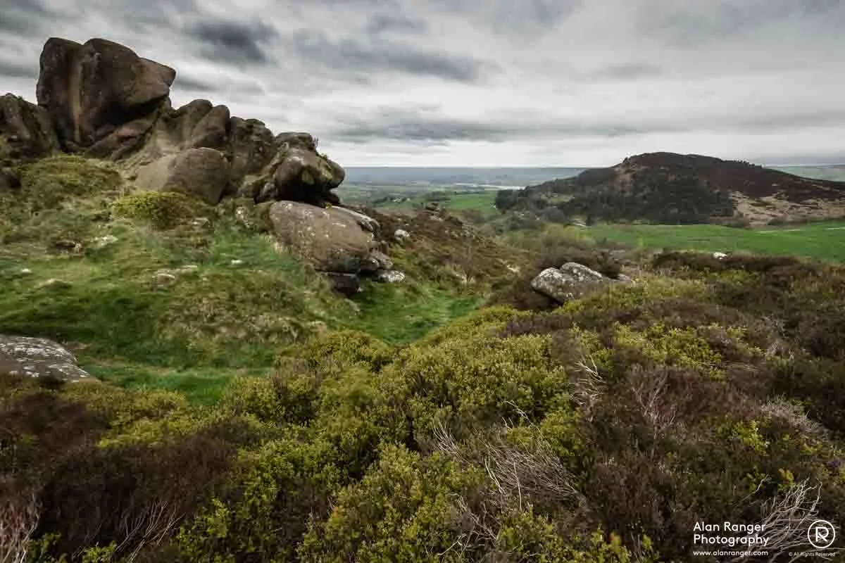 longnor 1