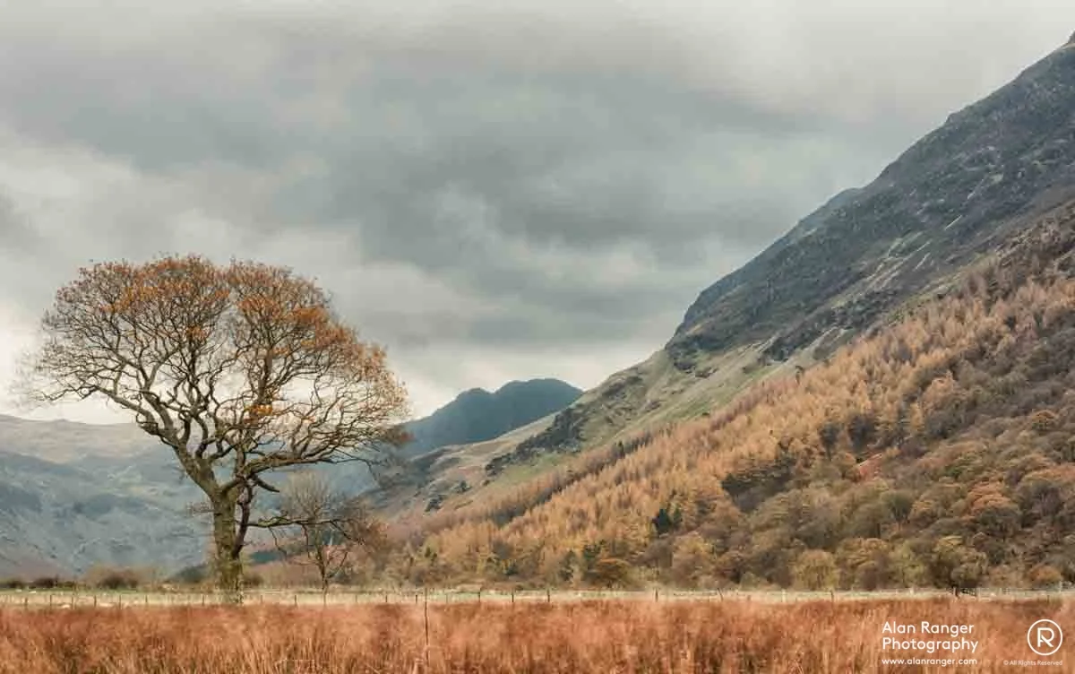 crummock sway