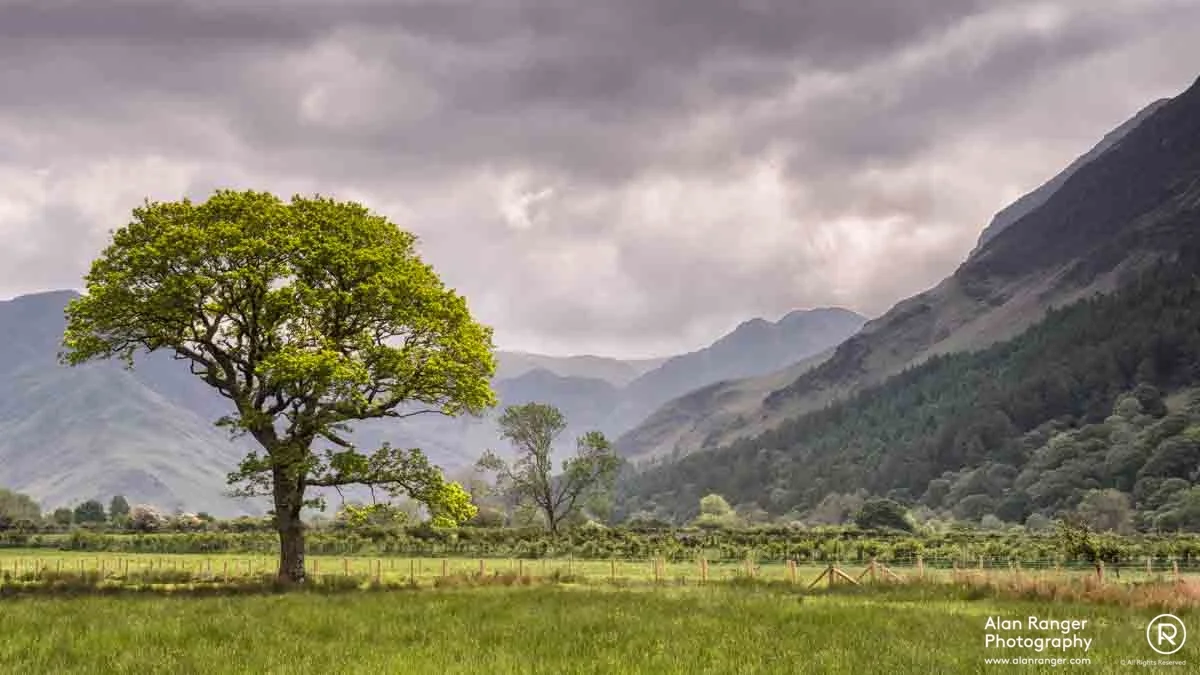 crummock