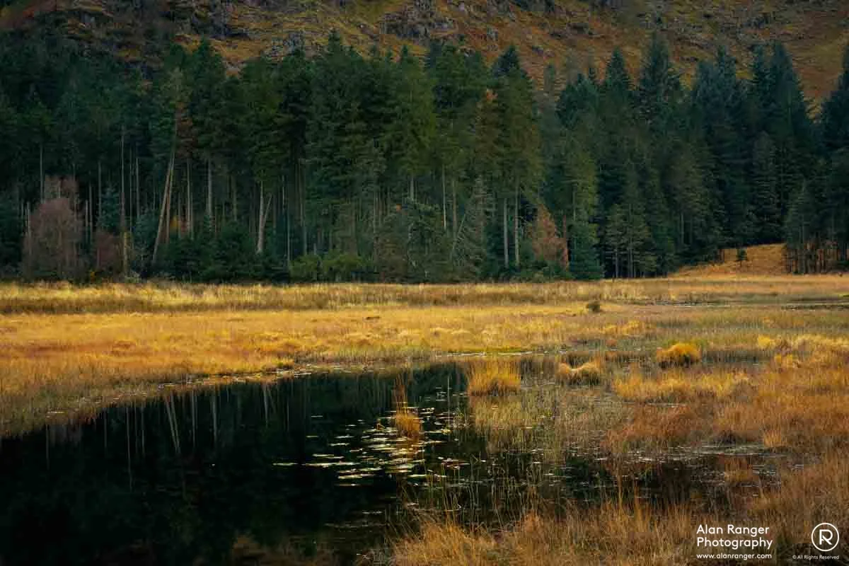 Harrop Tarn