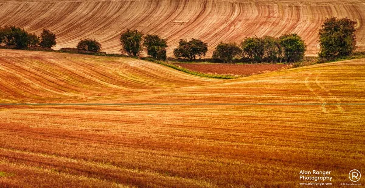 harvest