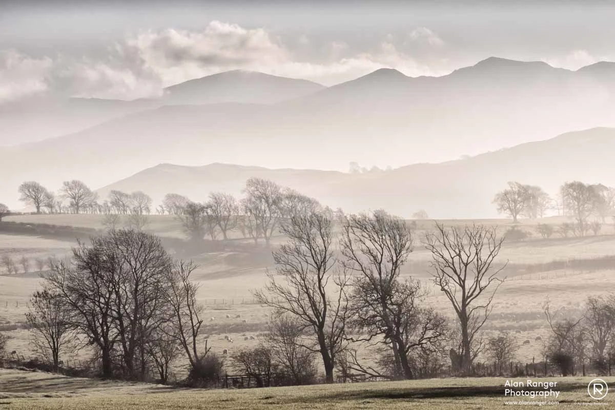 morning haze