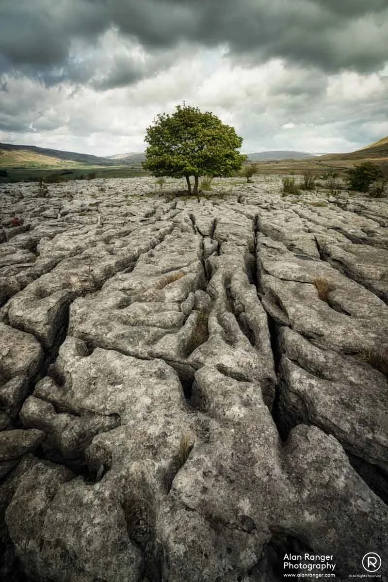 southerscales limestone - cracks