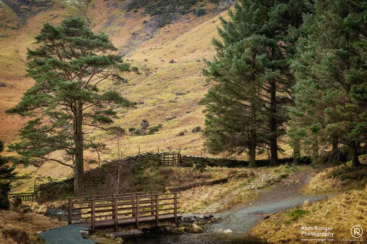 Blea Tarn Bridge