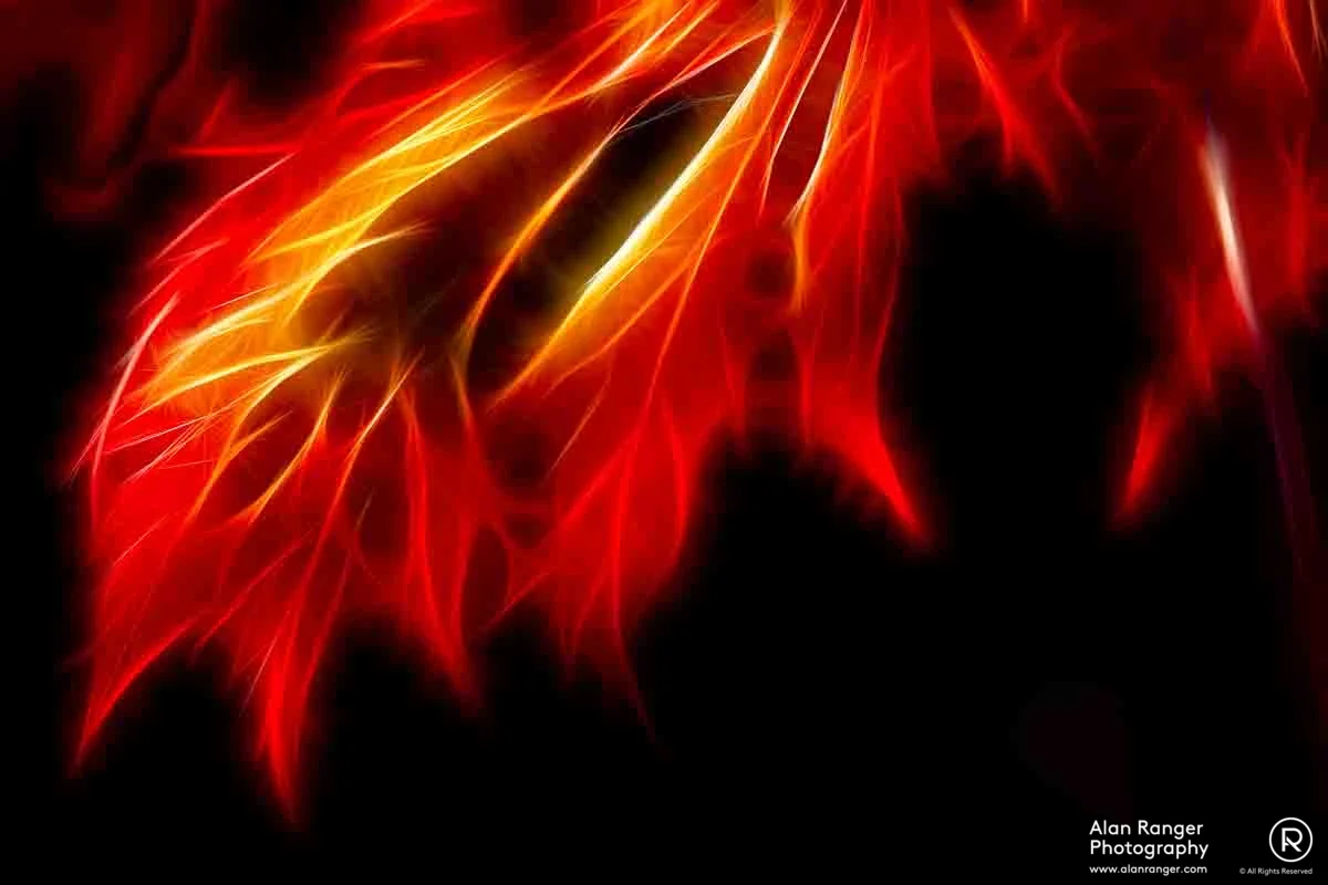 autumn fire