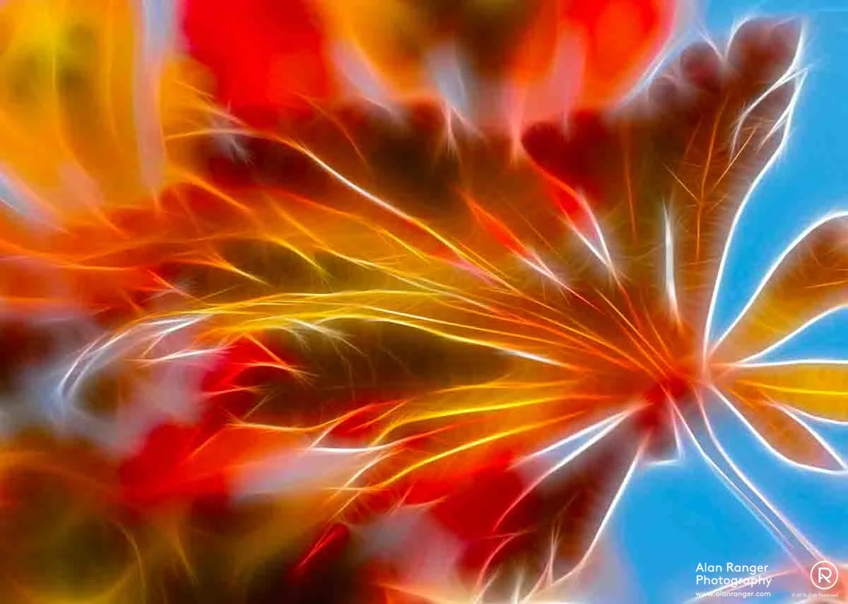 backlit