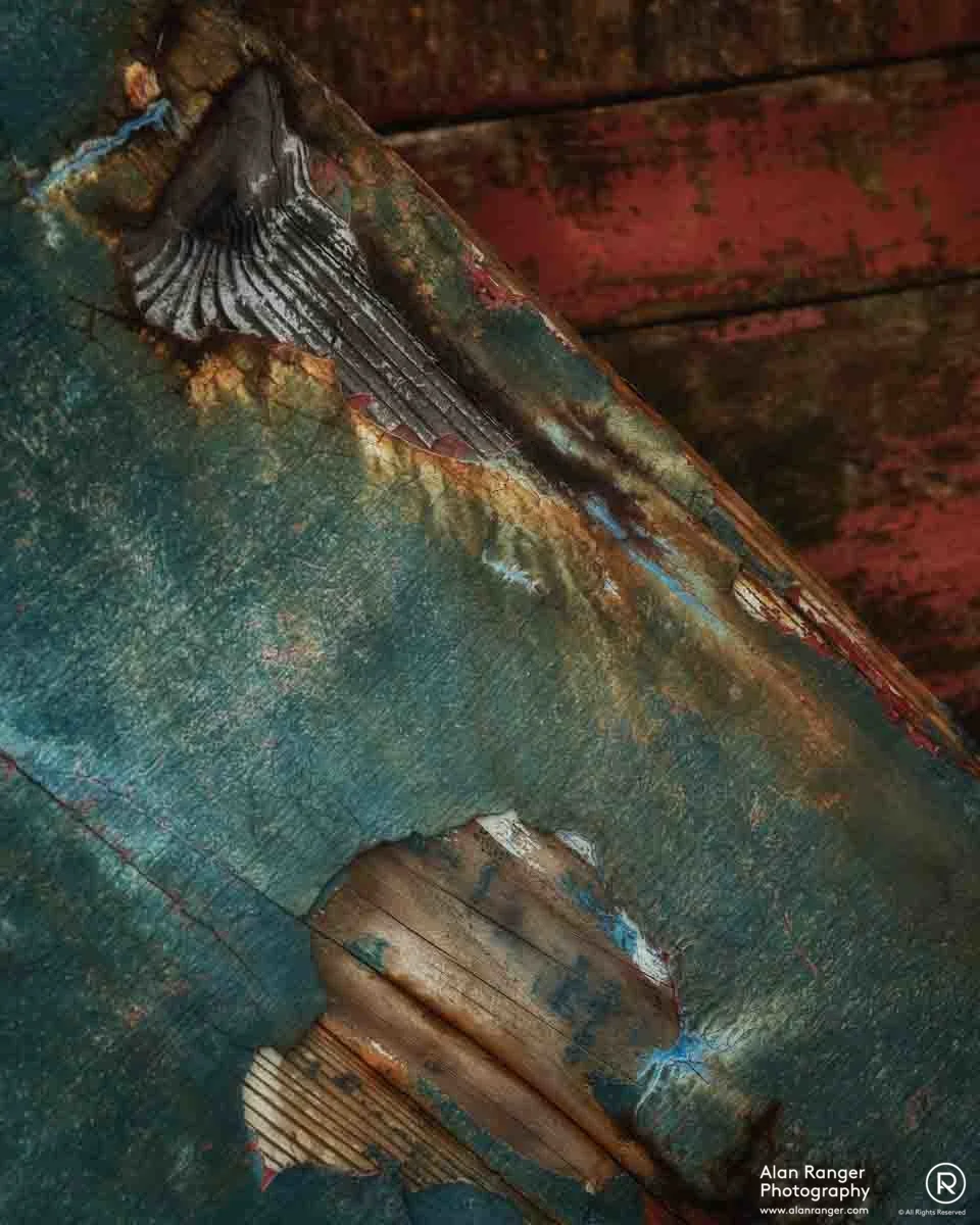 marine decay