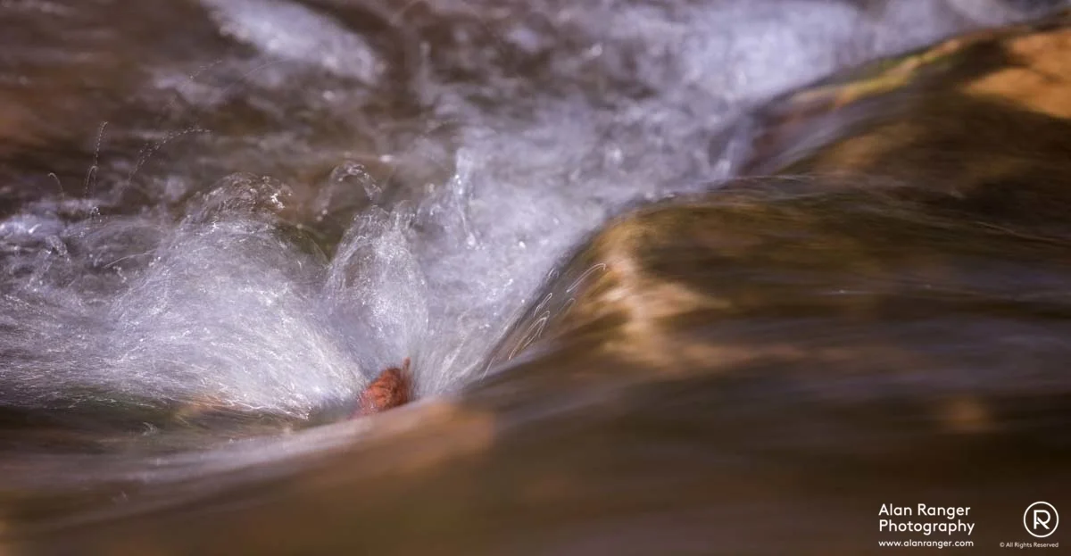 water abstract 2