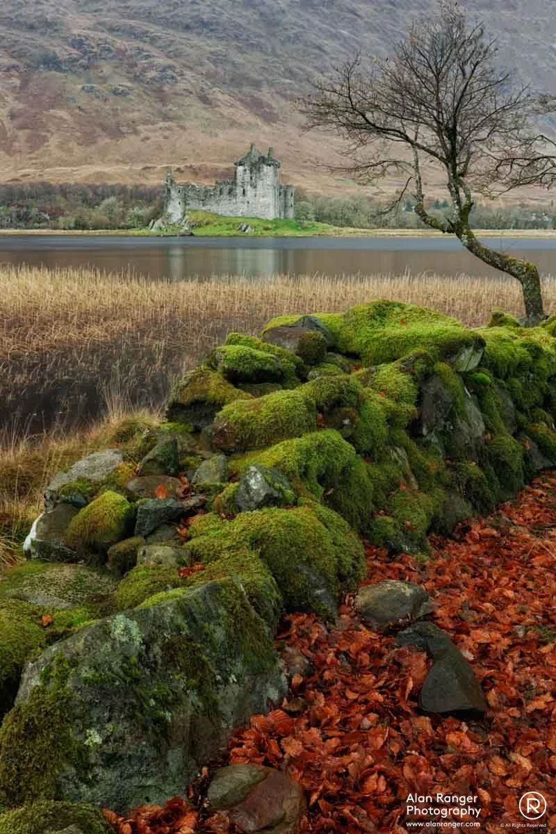Wall