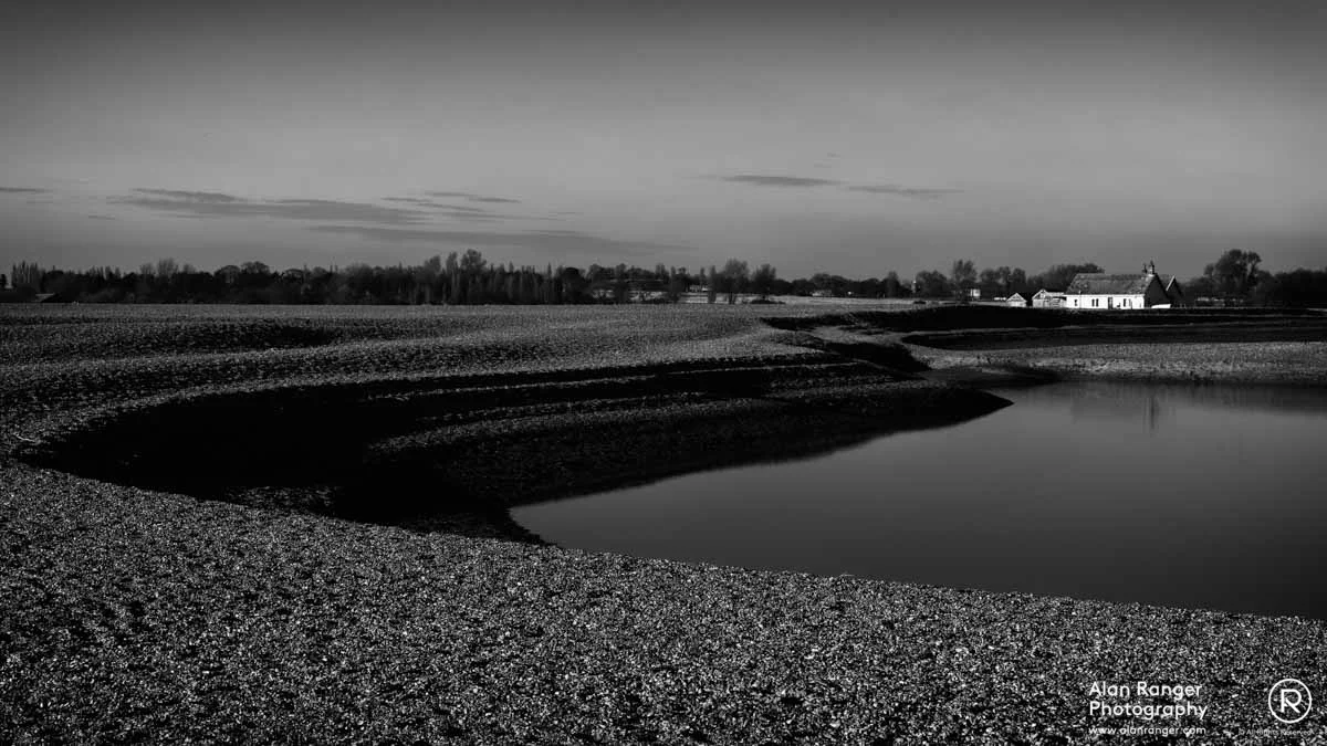 Shingle St