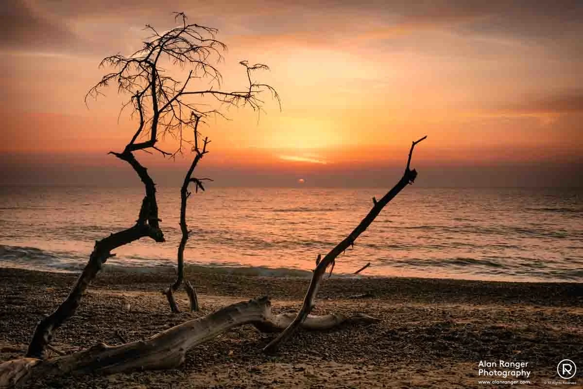 Beach Cemetery 1