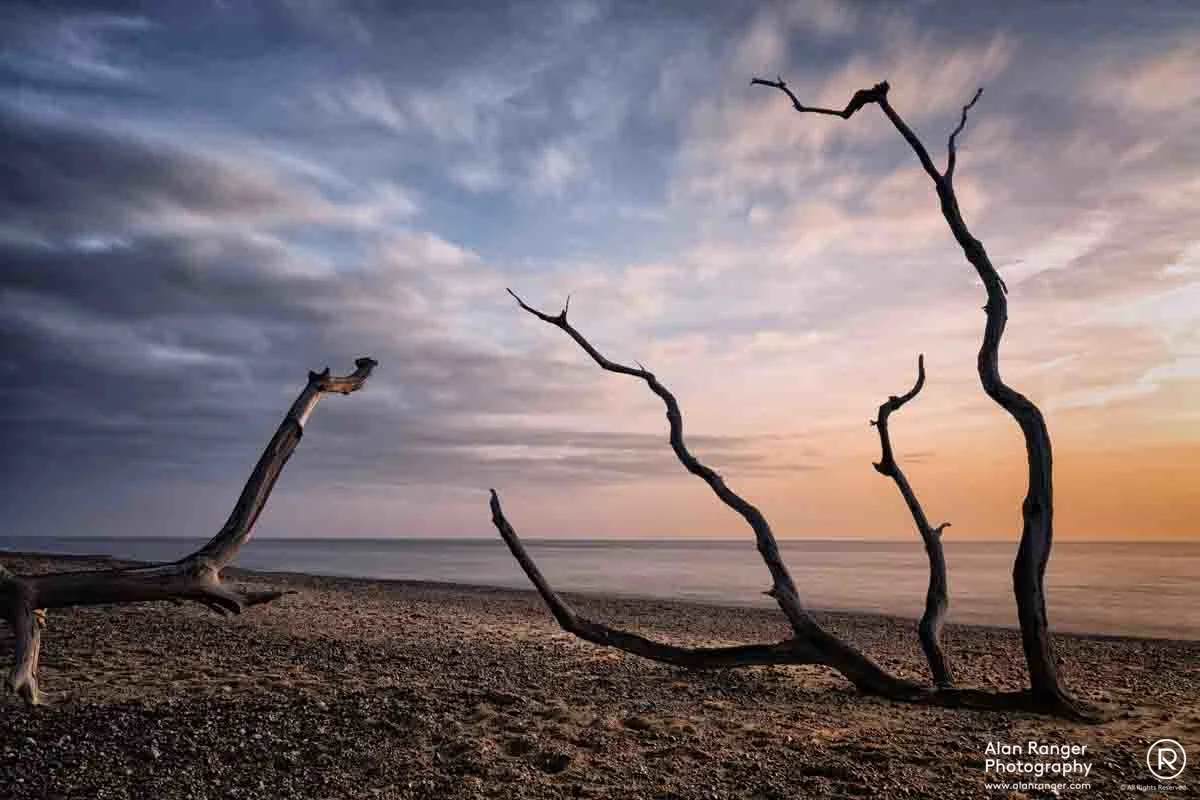Beach Cemetery 4