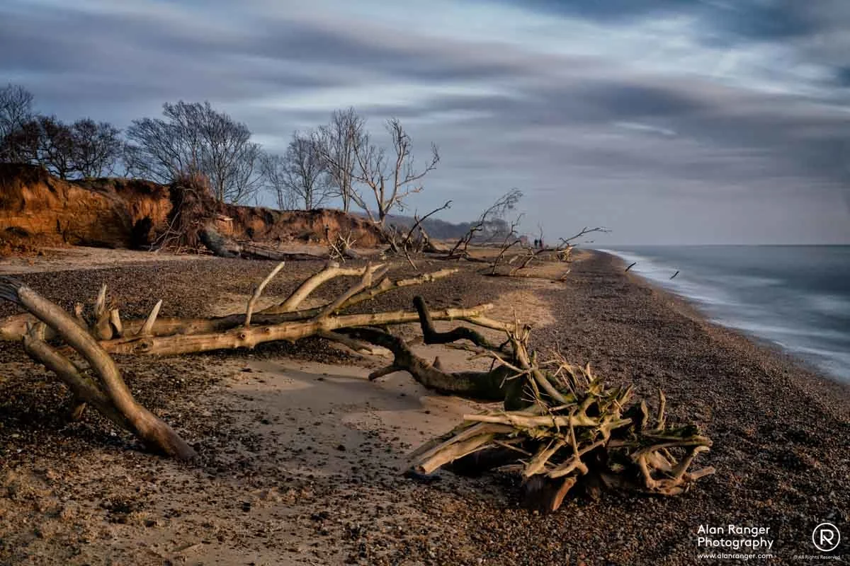 Beach Cemetery 5