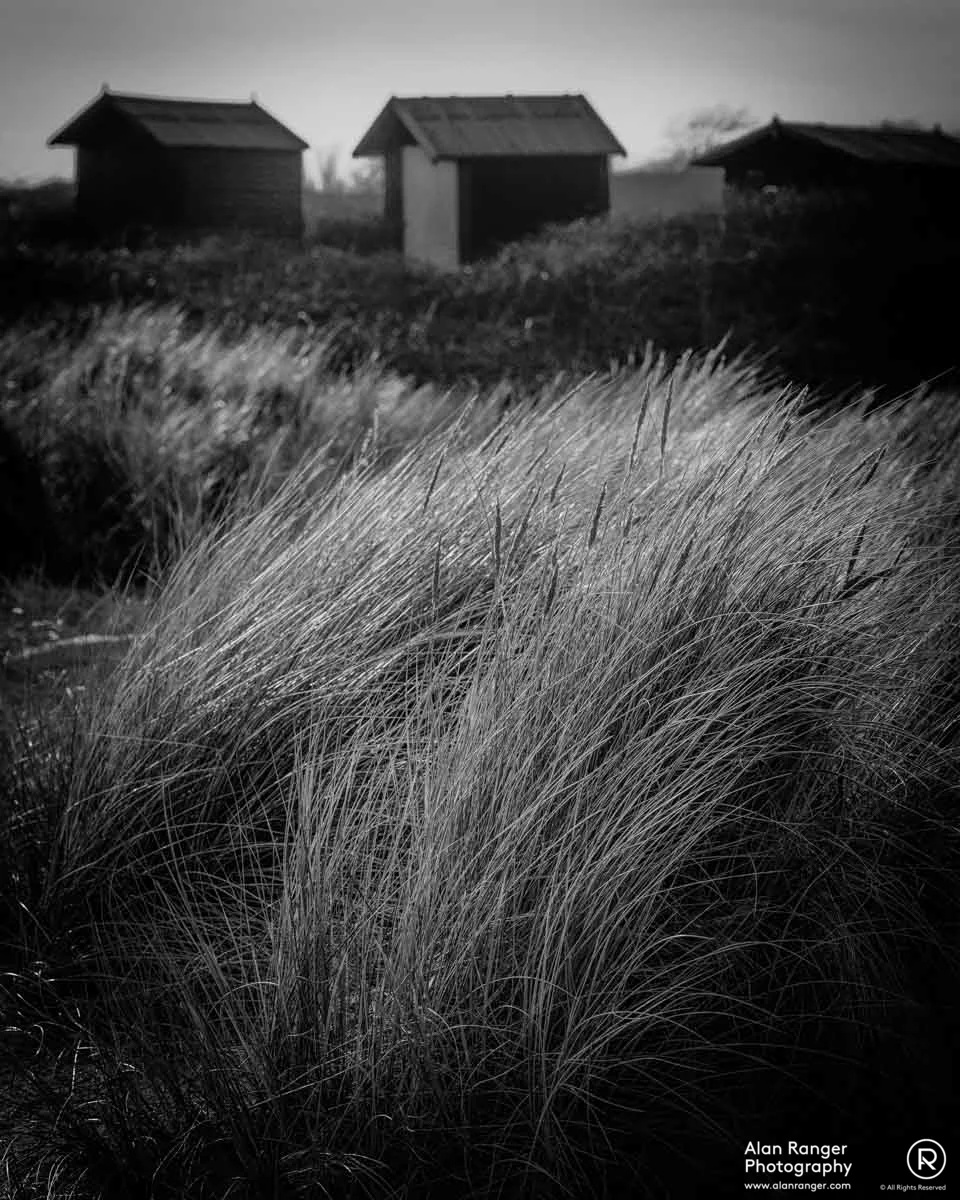 dunes II
