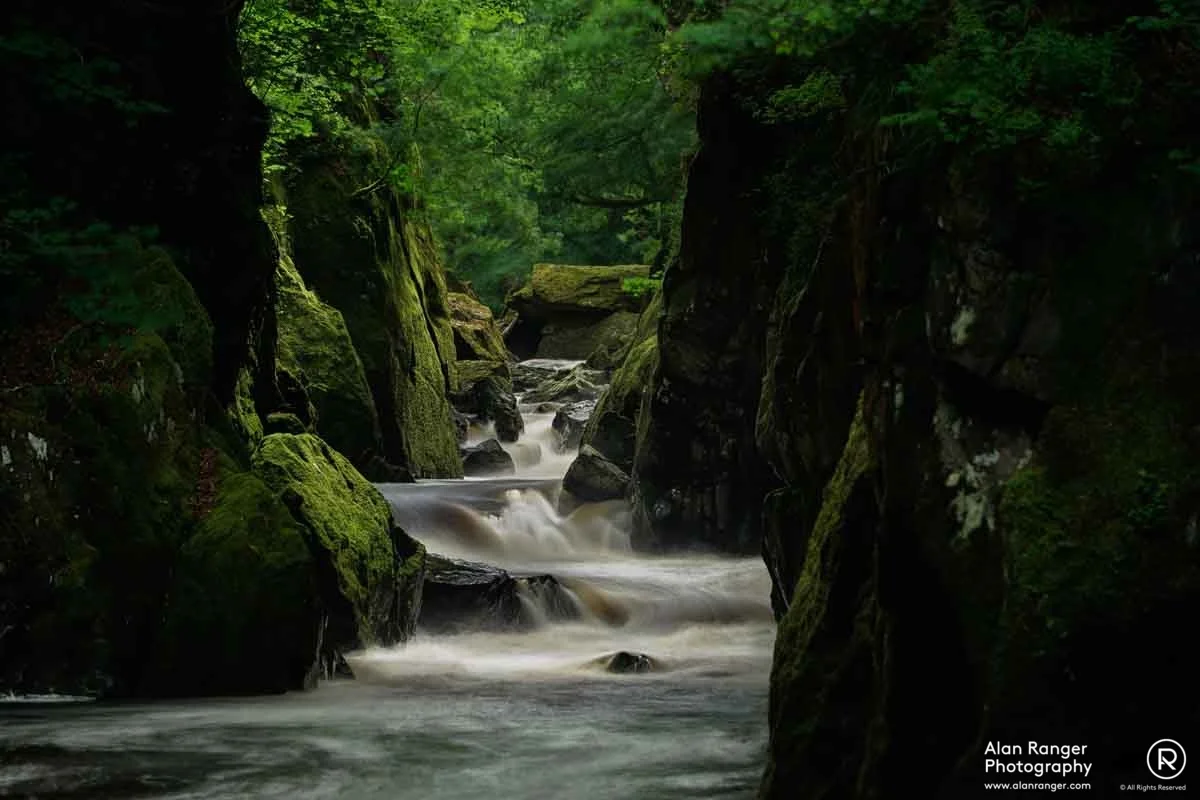 Fairy Glen 3