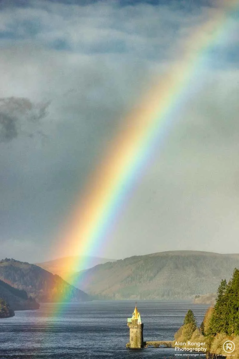 vyrnwy rainbow