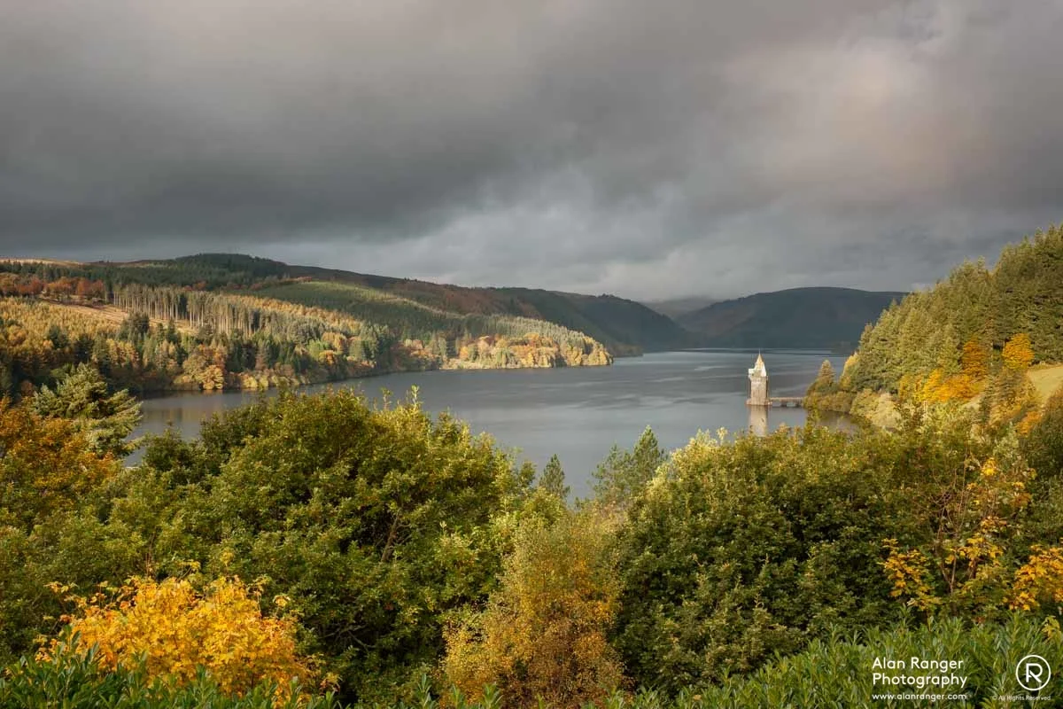 vyrnwy view