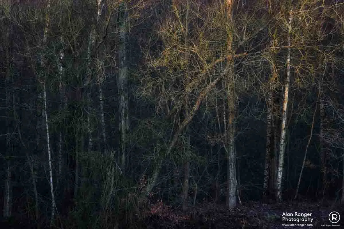 Brandon Marsh 2