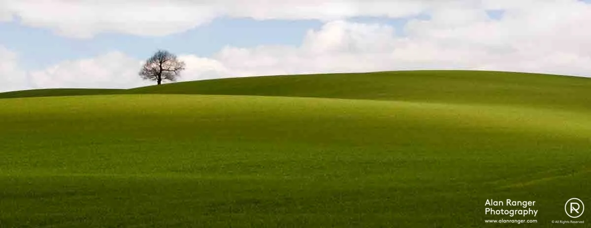 green fields