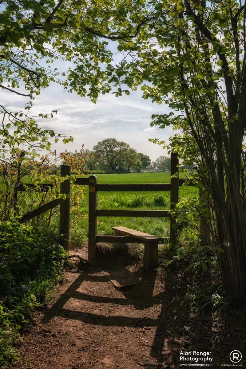 Millisons Wood 1