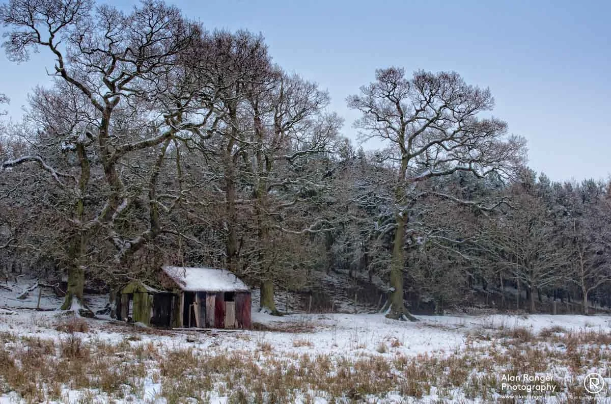 the shack
